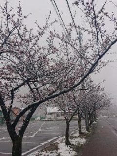 またか…(´д｀|||)