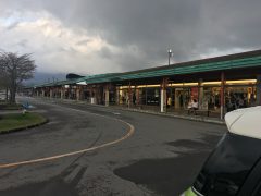 出かけてきました〜(*⁰▿⁰*)