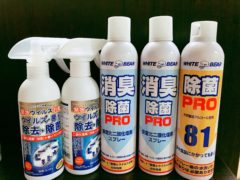 閨のコロナ対策について絵を書いてみました