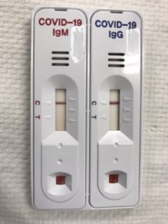 抗体検査　結果