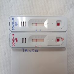 コロナ抗体検査結果