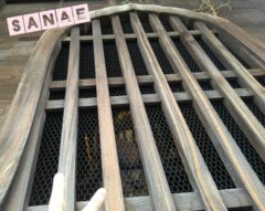 おはようございます♪