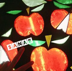 おはようございます♪…さなえです♪