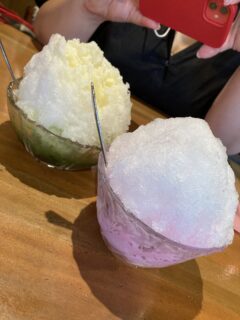 こんにちは🦔🐾