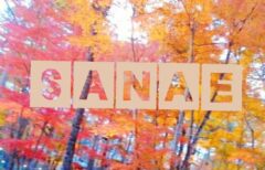 水曜日はありがとうございました♪…さなえです♪