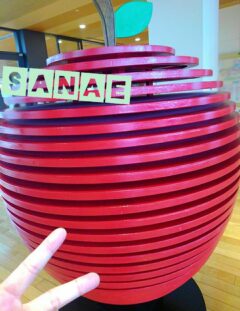 おはようございます♪…さなえです♪