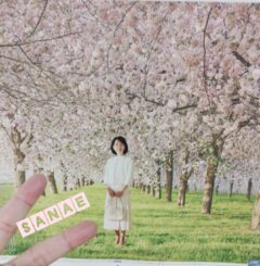 こんにちは♪…さなえです♪