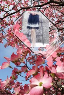 松本からこんにちは✨