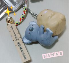 おはようございます♪…さなえです♪