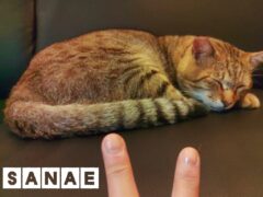 おはようございます♪…さなえです♪