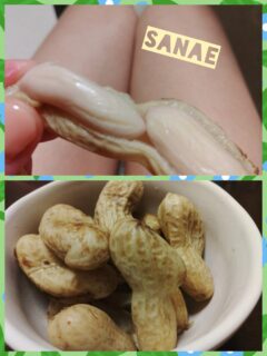 おはようございます♪…さなえです♪