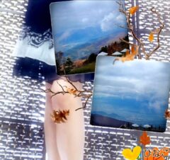 🌿欠かせない✨🌿