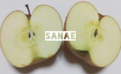 おはようございます♪…さなえです♪