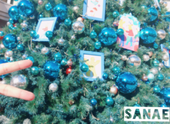 おはようございます♪…さなえです♪