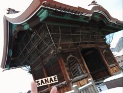 おはようございます♪…さなえです♪