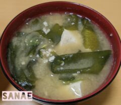 おはようございます♪…さなえです♪