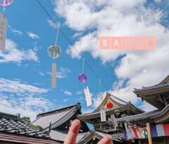 おはようございます♪…さなえです♪