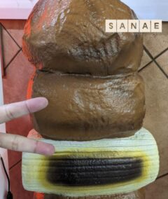 こんばんは♪…さなえです♪