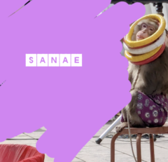 おはようございます♪…さなえです♪