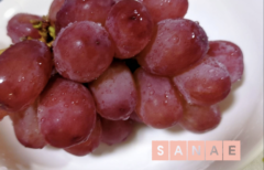 こんばんは♪…さなえです♪