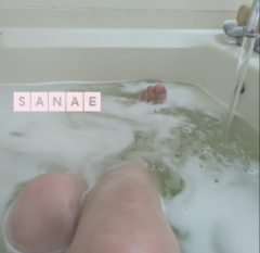 おはようございます♪…さなえです♪