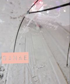 おはようございます…さなえです♪