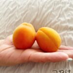 本日18時から出勤です🙂↕️
